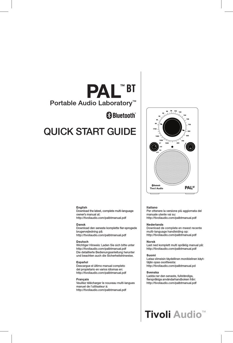 Tivoli Audio PAL BT User manual