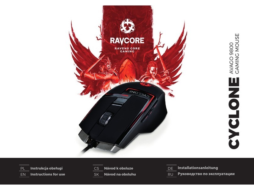 Ravcore Cyclone AVAGO 9800 User manual