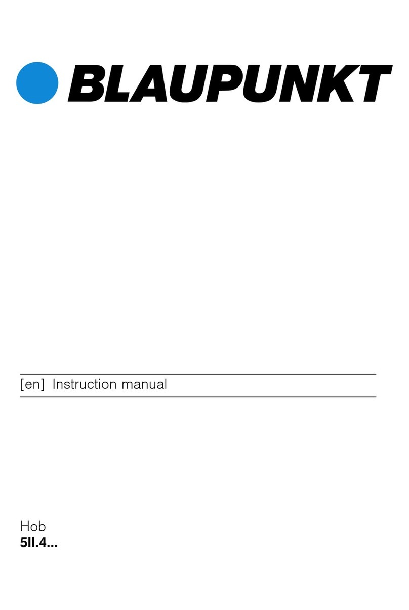 Blaupunkt 5II.4 Series User manual