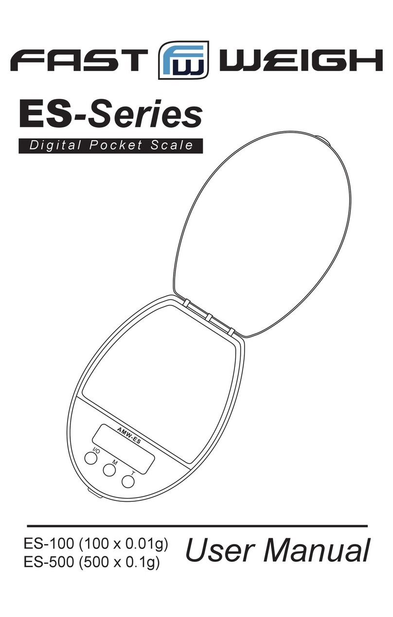Fast Weigh ES-100 user manual