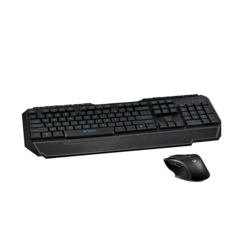 Rapoo V 100 User manual