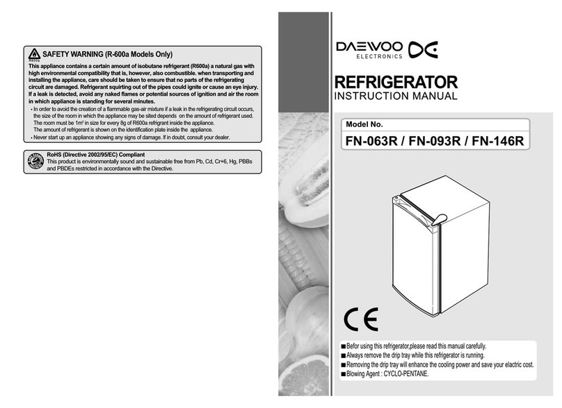 Daewoo FN-063R instruction manual