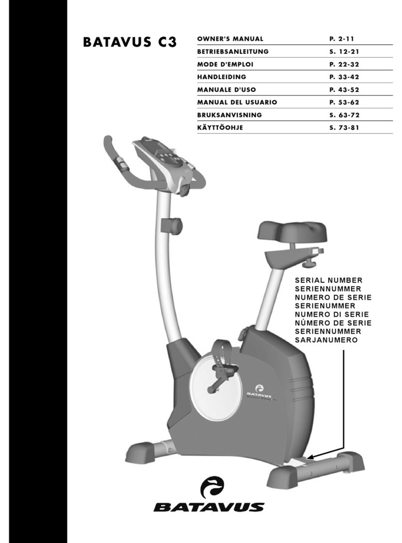 Batavus C3 owner's manual