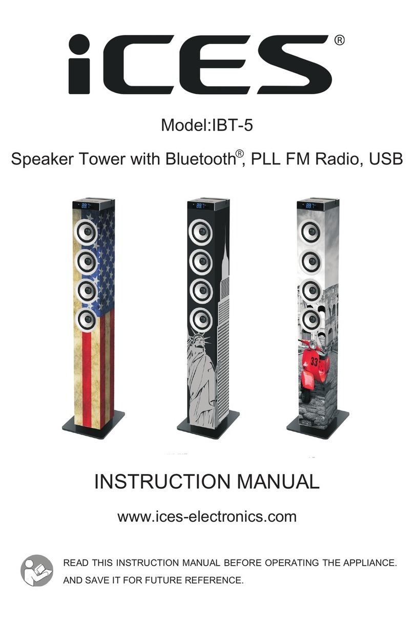 iCES IBT-5 instruction manual