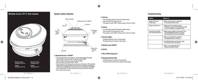 Chesskin IBT-01 user manual