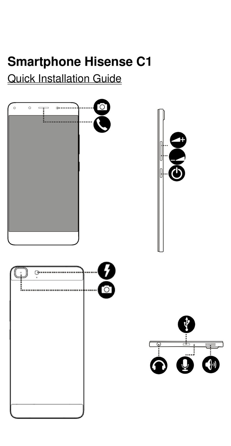 Hisense C1 User manual