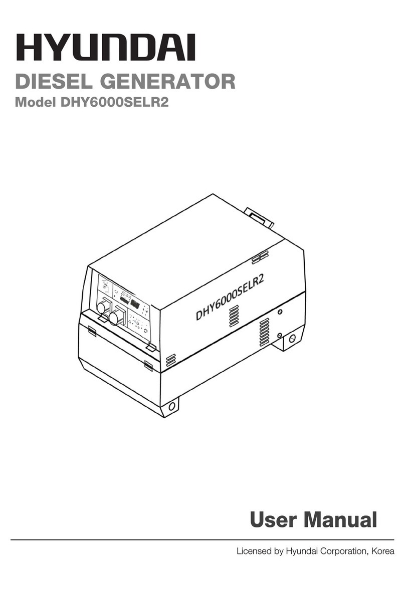 Hyundai DHY6000SELR2 user manual