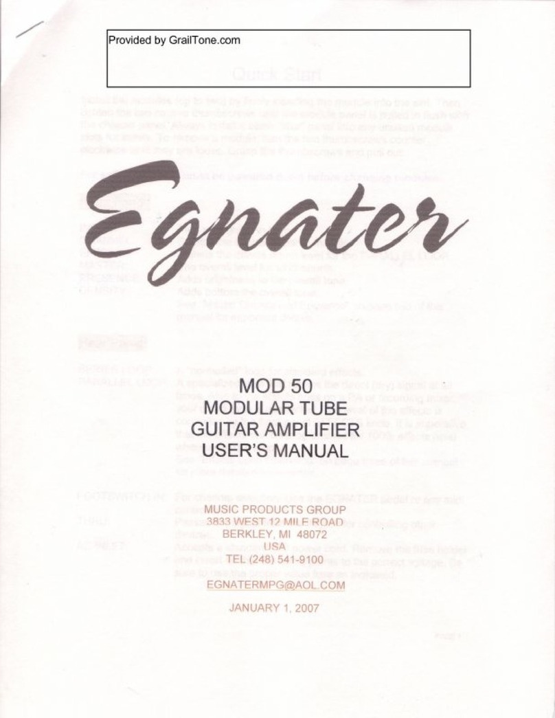 Egnater 50 user manual