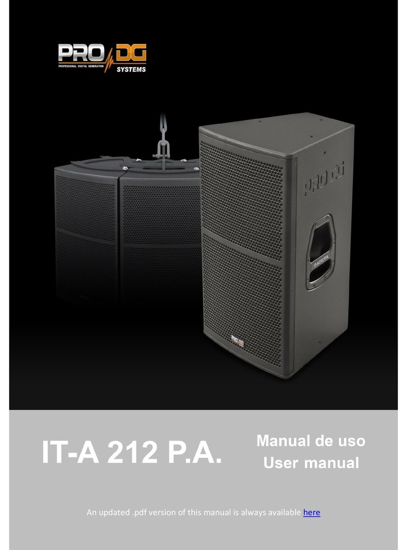 Pro DG Systems IT-A 212 P.A. user manual