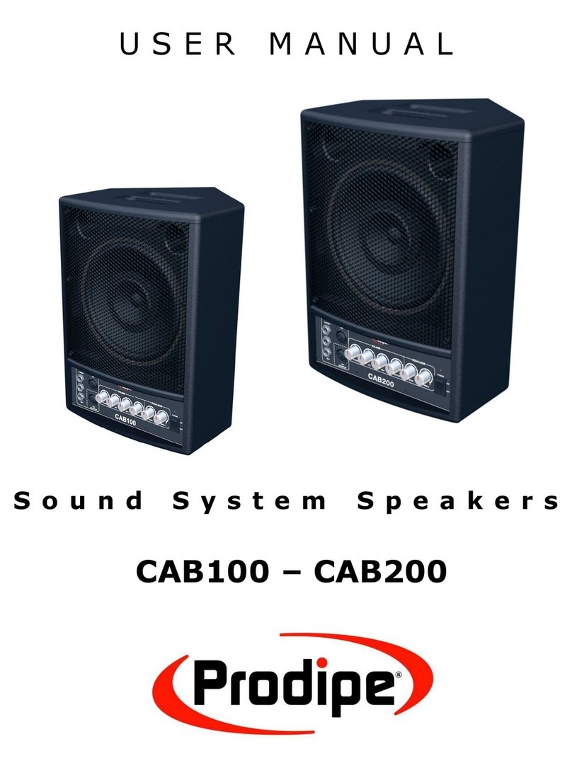 Prodipe CAB100 user manual