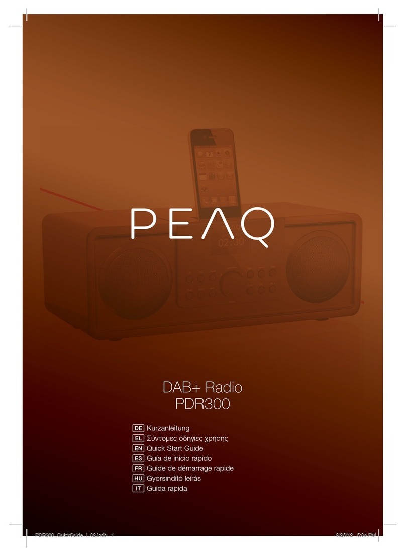 Peaq PDR300 User manual