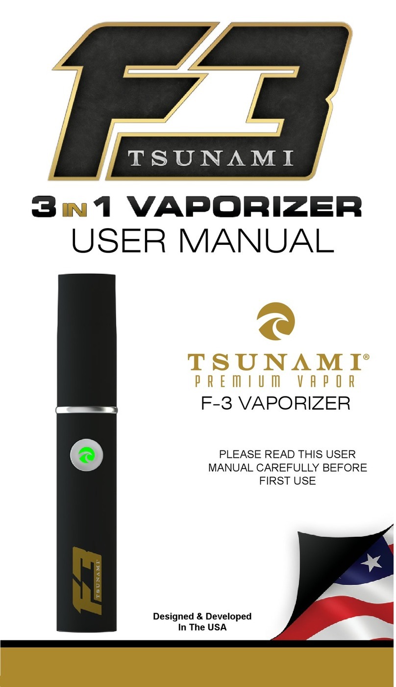 Tsunami F-3 user manual