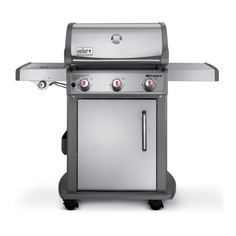 Spirit E220 owner's guide