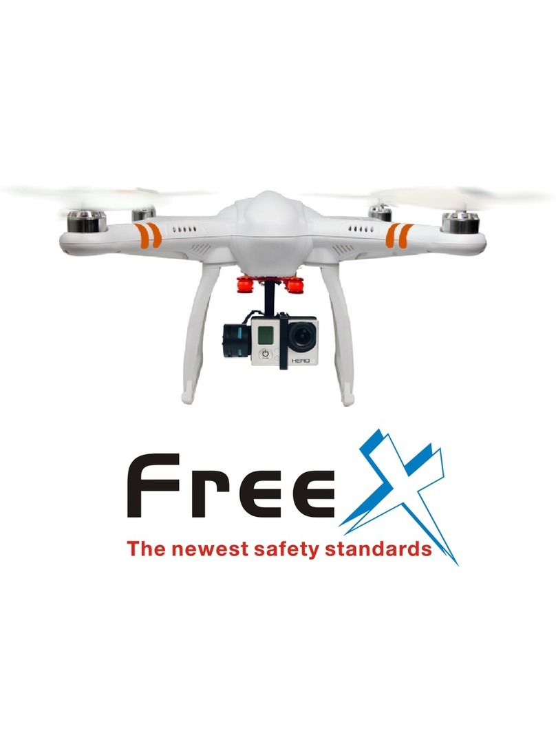 Skyview FREE X manual