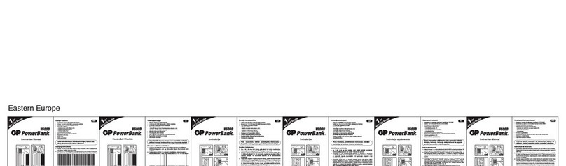 GP powerbank V600D User manual