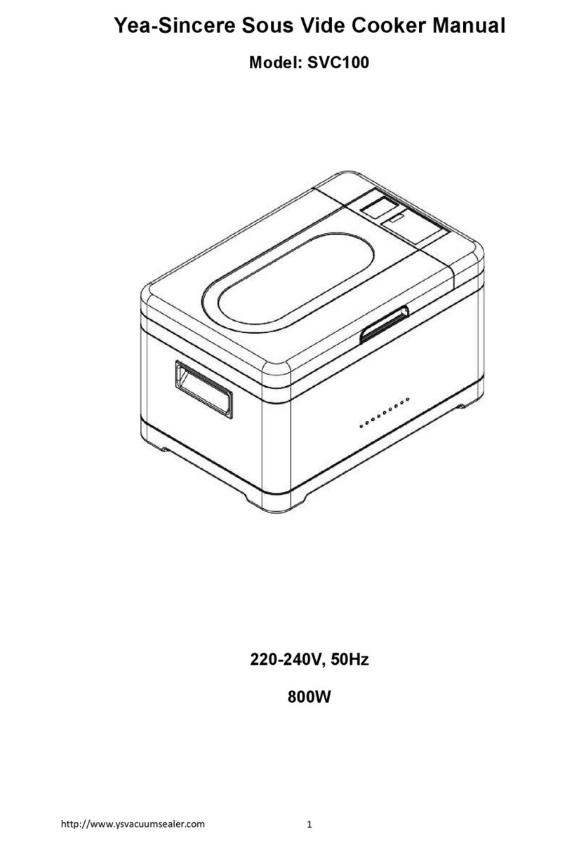 Yeasincere SVC100 manual