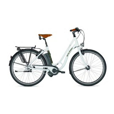 Raleigh Pedelec Groove* User manual
