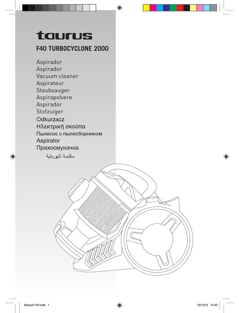 Taurus F40 TURBOCYCLONE 2000 User manual