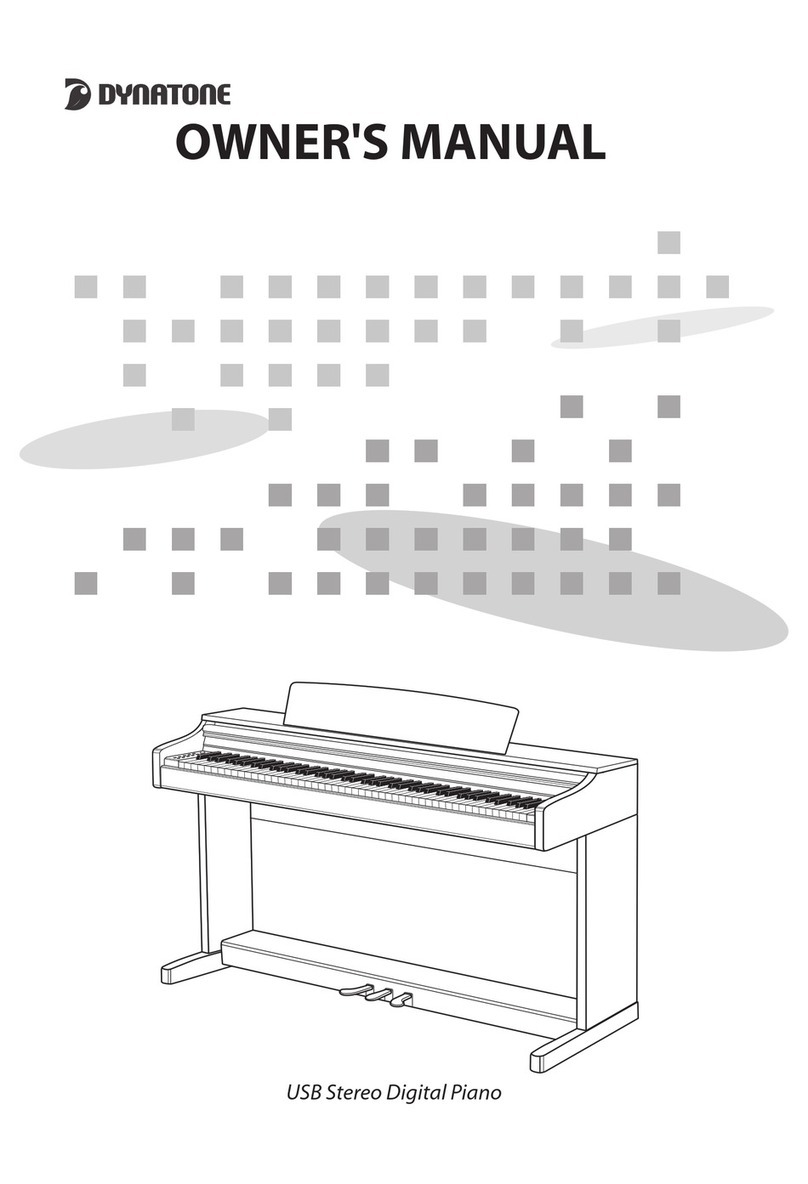 Dynatone SLP-250H User manual