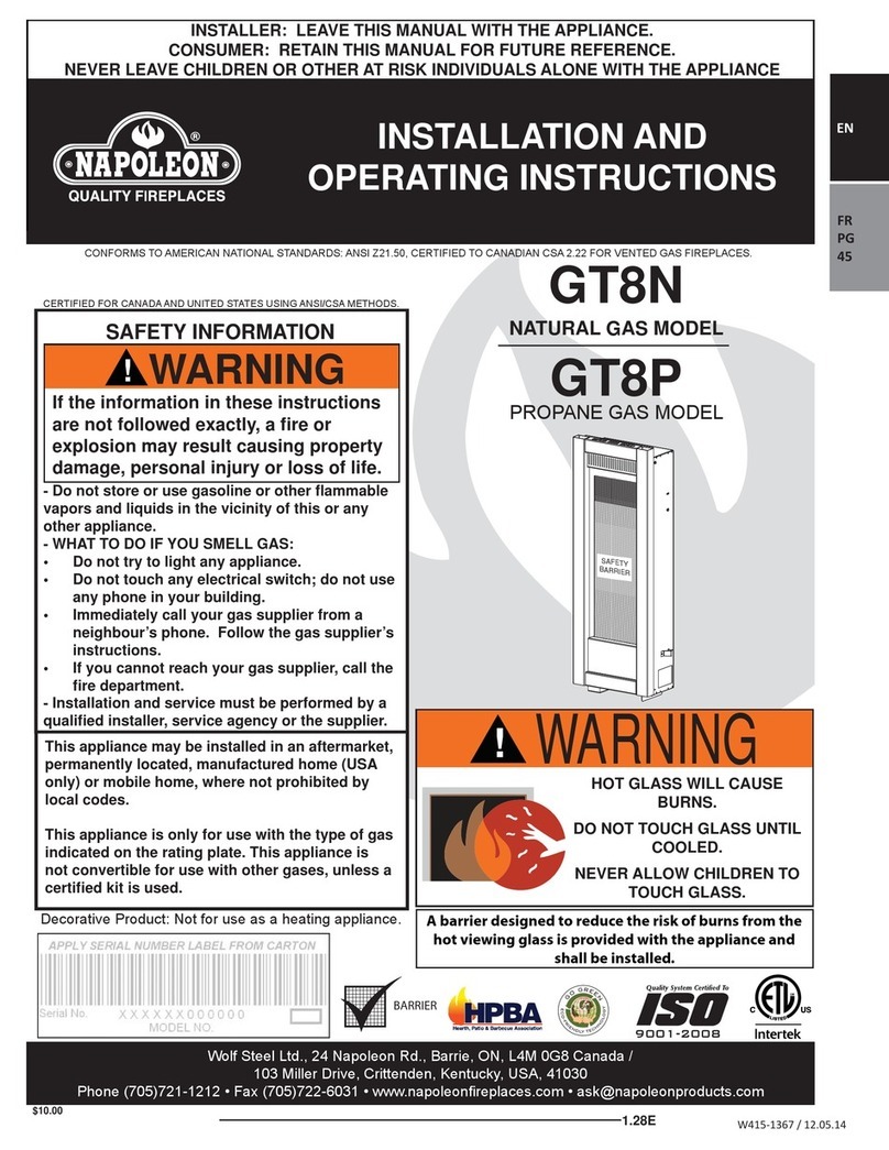 Napoleon TORCH GT8N User manual
