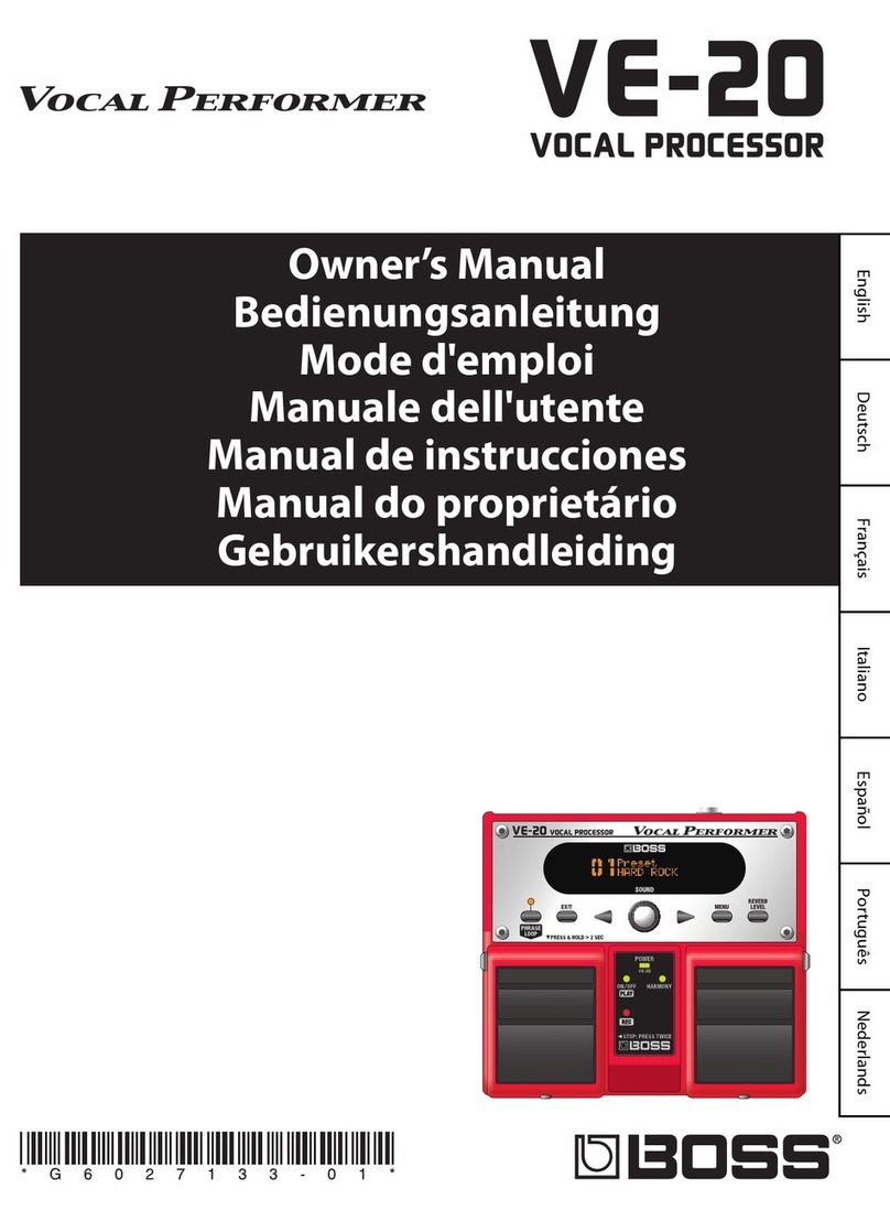 Vocal Performer VE-20 owner's manual