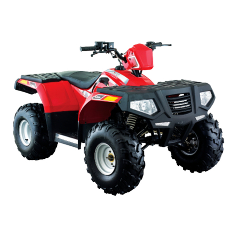 Hisun AXIS 110 User manual
