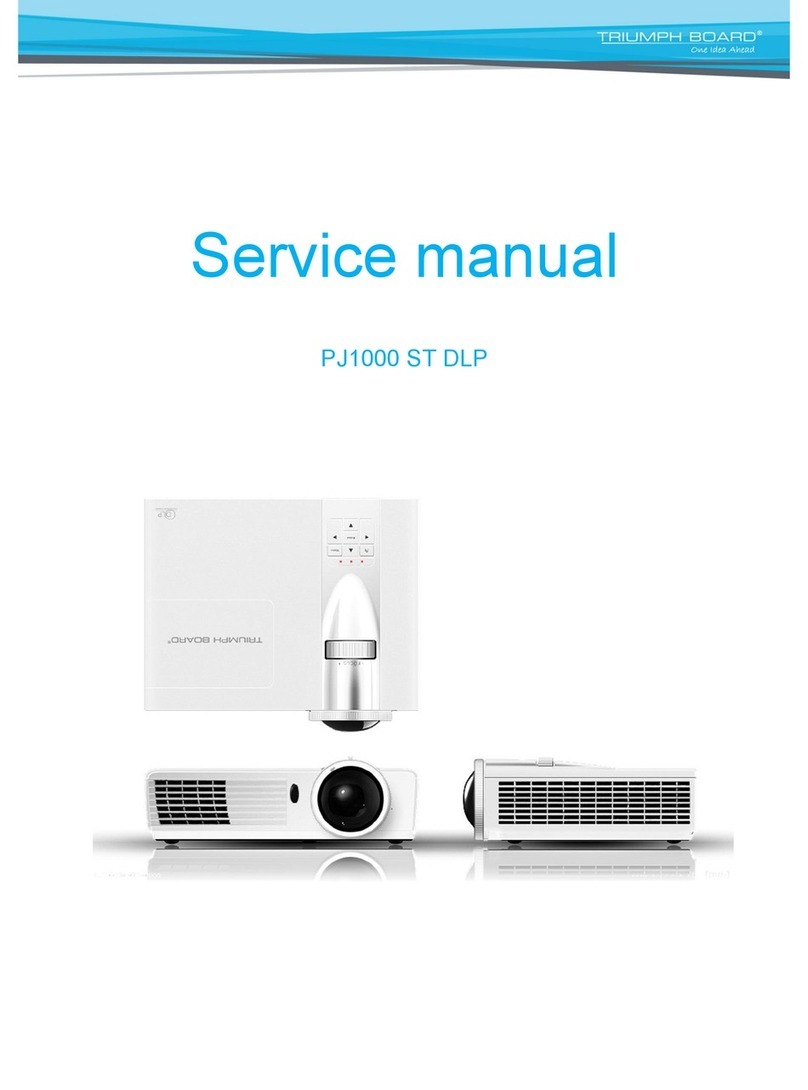 TRIUMPH BOARD PJ1000 ST DLP Service manual