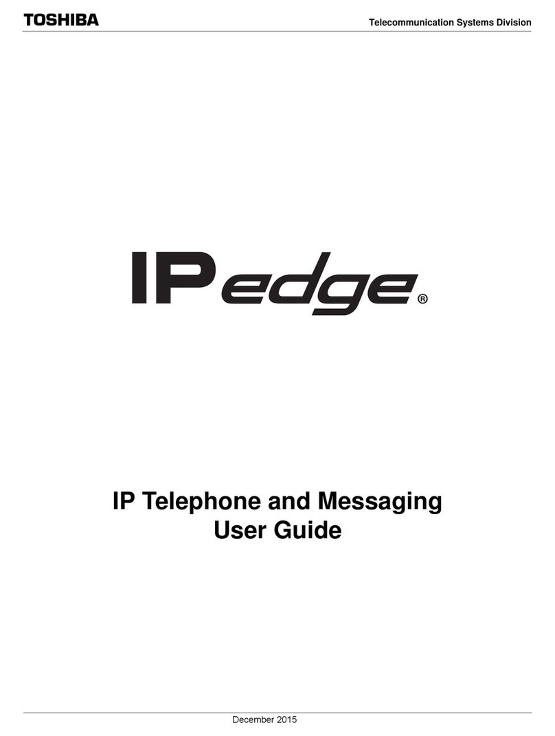 Toshiba IPedge user guide