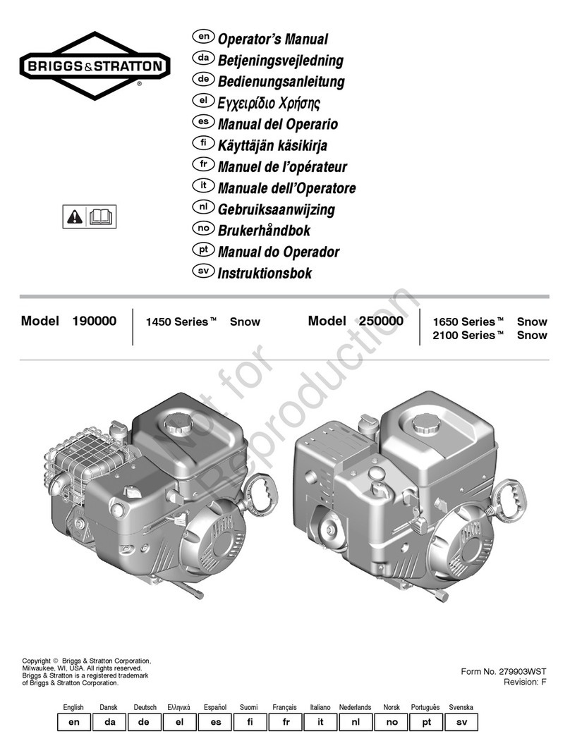 Briggs & Stratton 190000 Series User manual