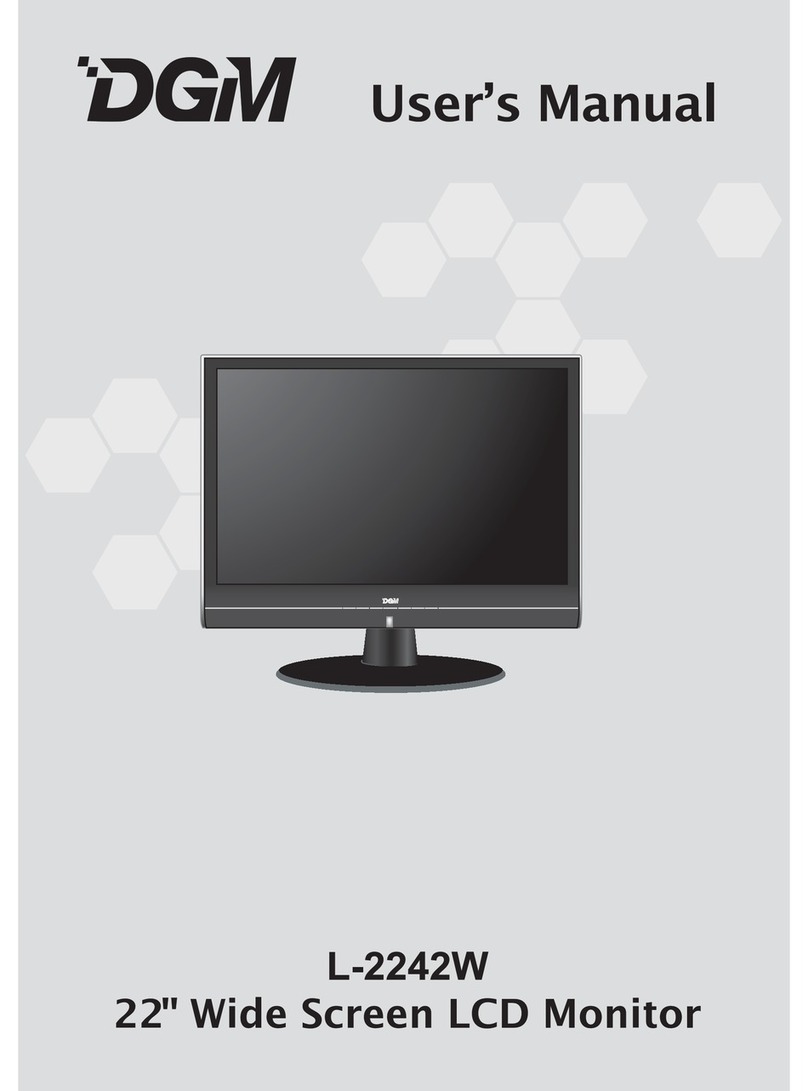 DGM L-2242W User manual