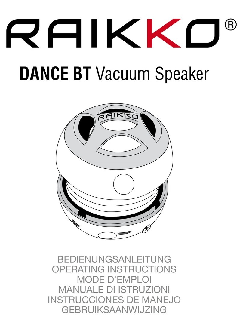 Raikko DANCE BT operating instructions