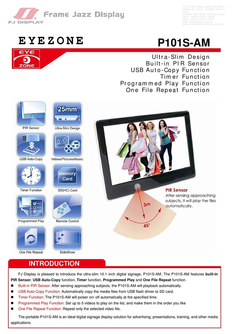 FJ Display P101S-AM User manual