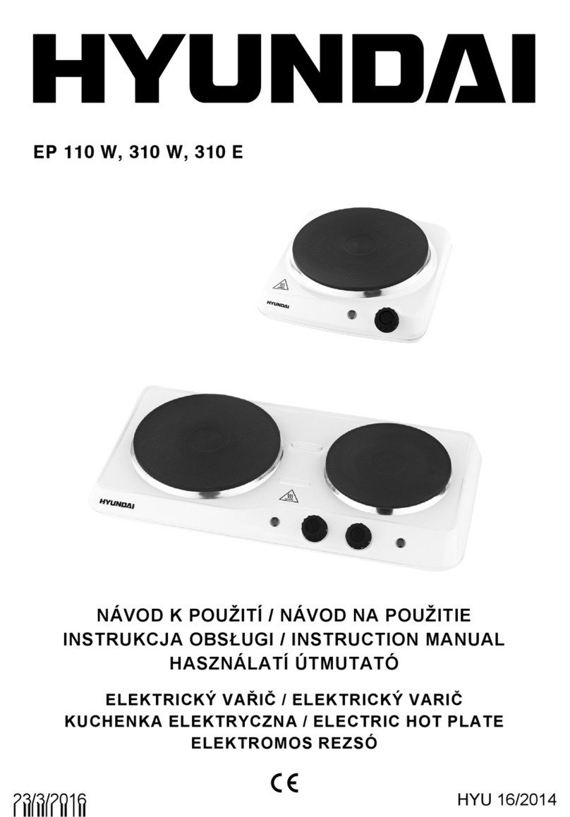 Hyundai EP 110 W instruction manual