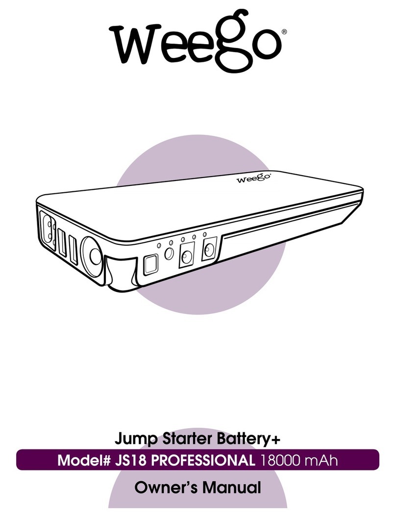 Weego JS18 Professional owner's manual