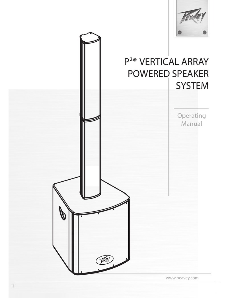 Peavey p2 User manual