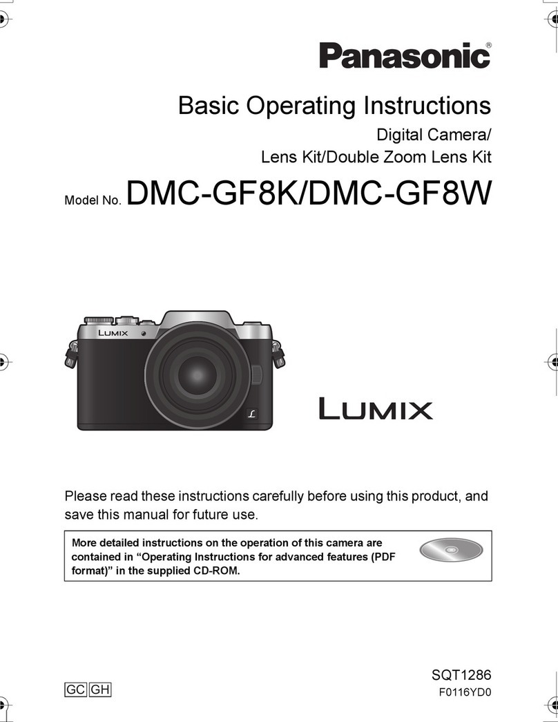 Panasonic LUMIX DMC-GF8K Technical specifications