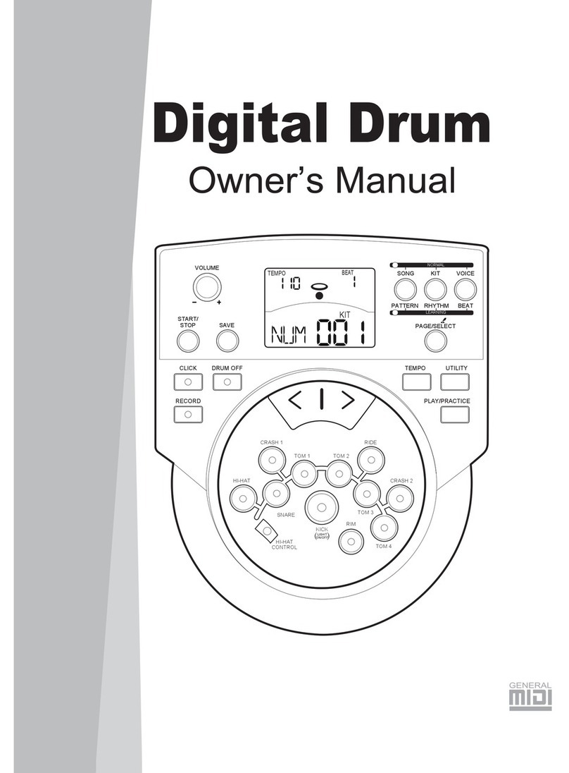 Techtonic DD512 owner's manual