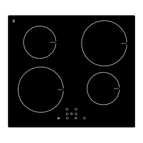 Pkm IF 4 User manual