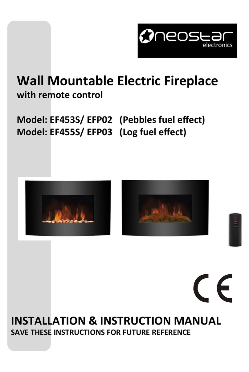 Neostar Electronics EF453S Installation instructions manual