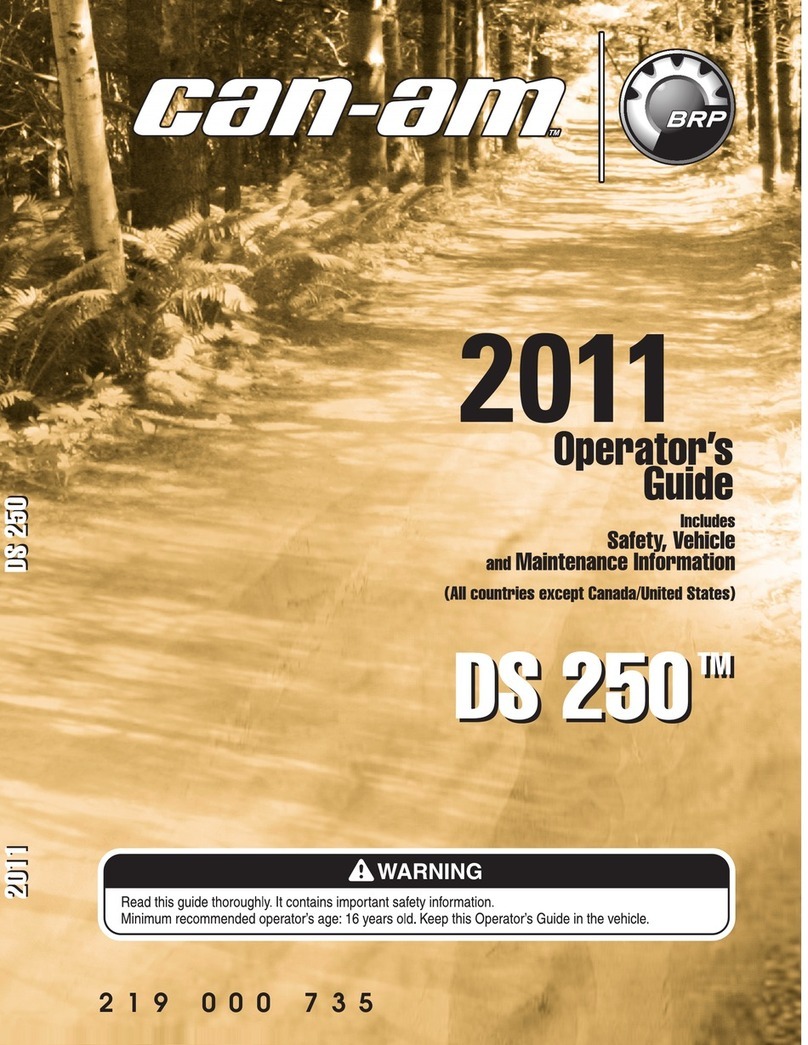 Can-Am DS250 Manual
