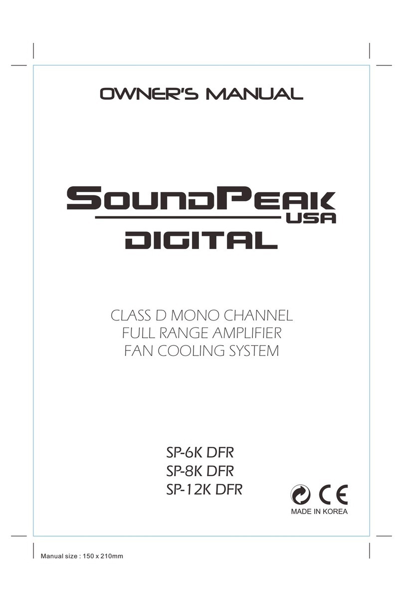 SoundPeak SP-6K DFR owner's manual