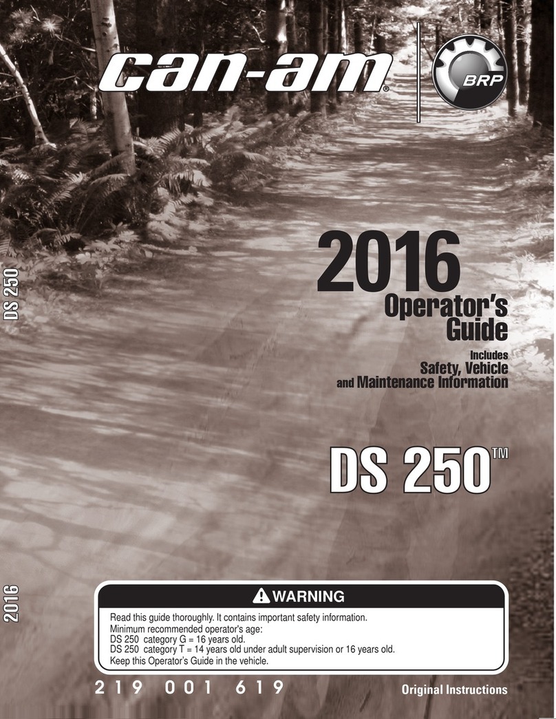 Can-Am DS250 Manual