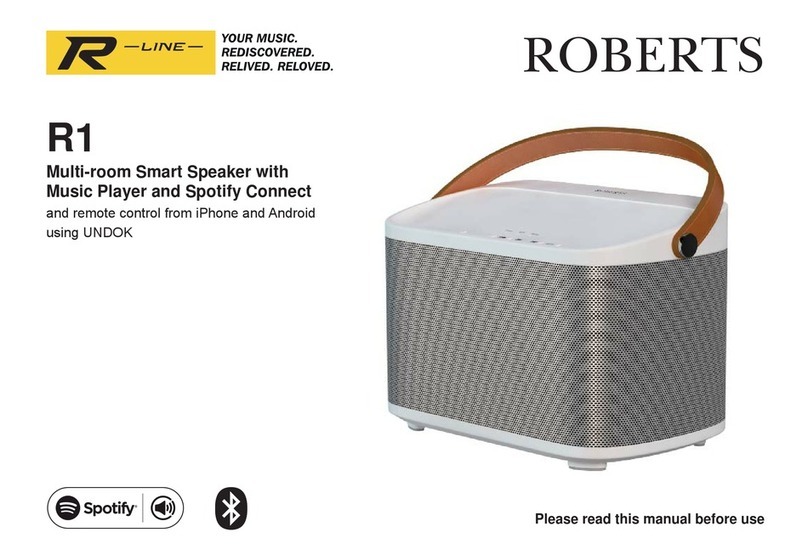Roberts R Line instruction manual