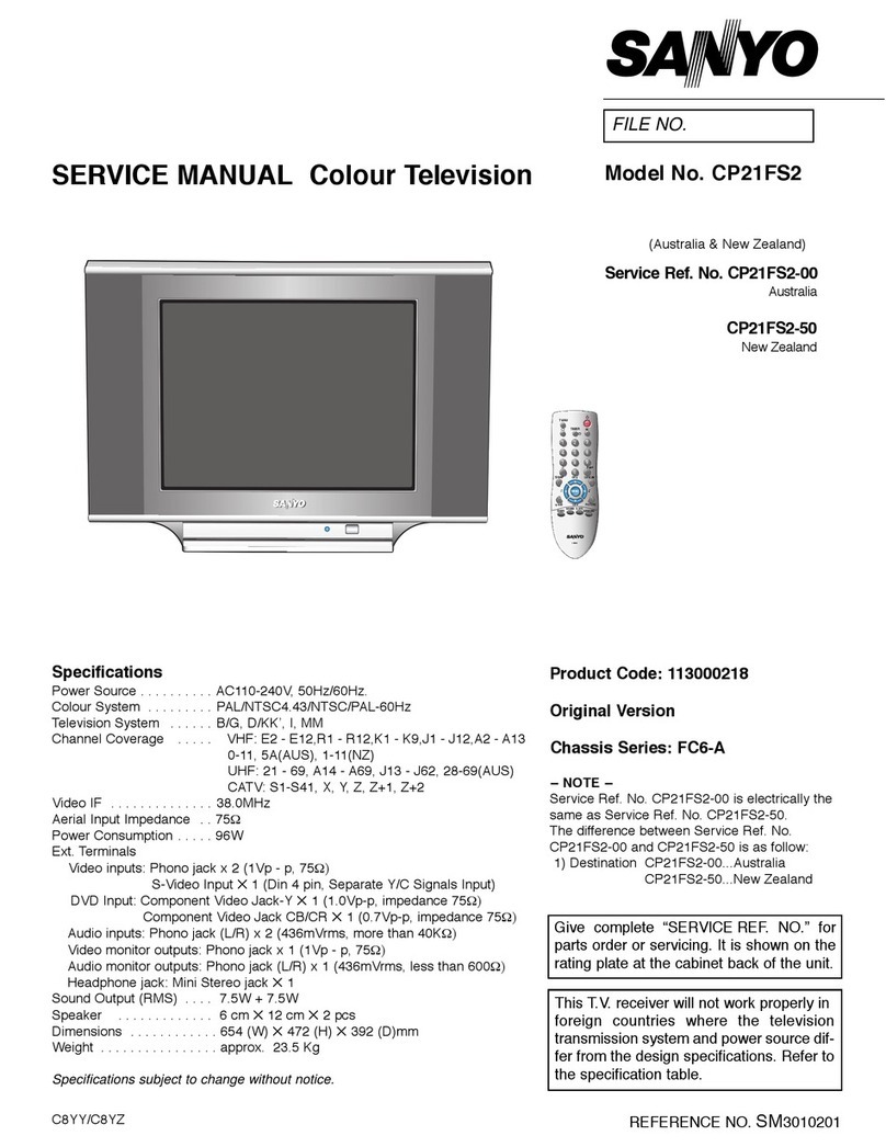 Sanyo CP21FS2 Service manual