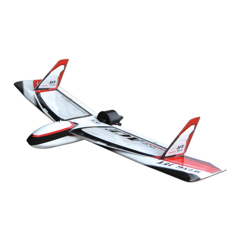 THE WORLD MODELS Wing Jet EP User manual