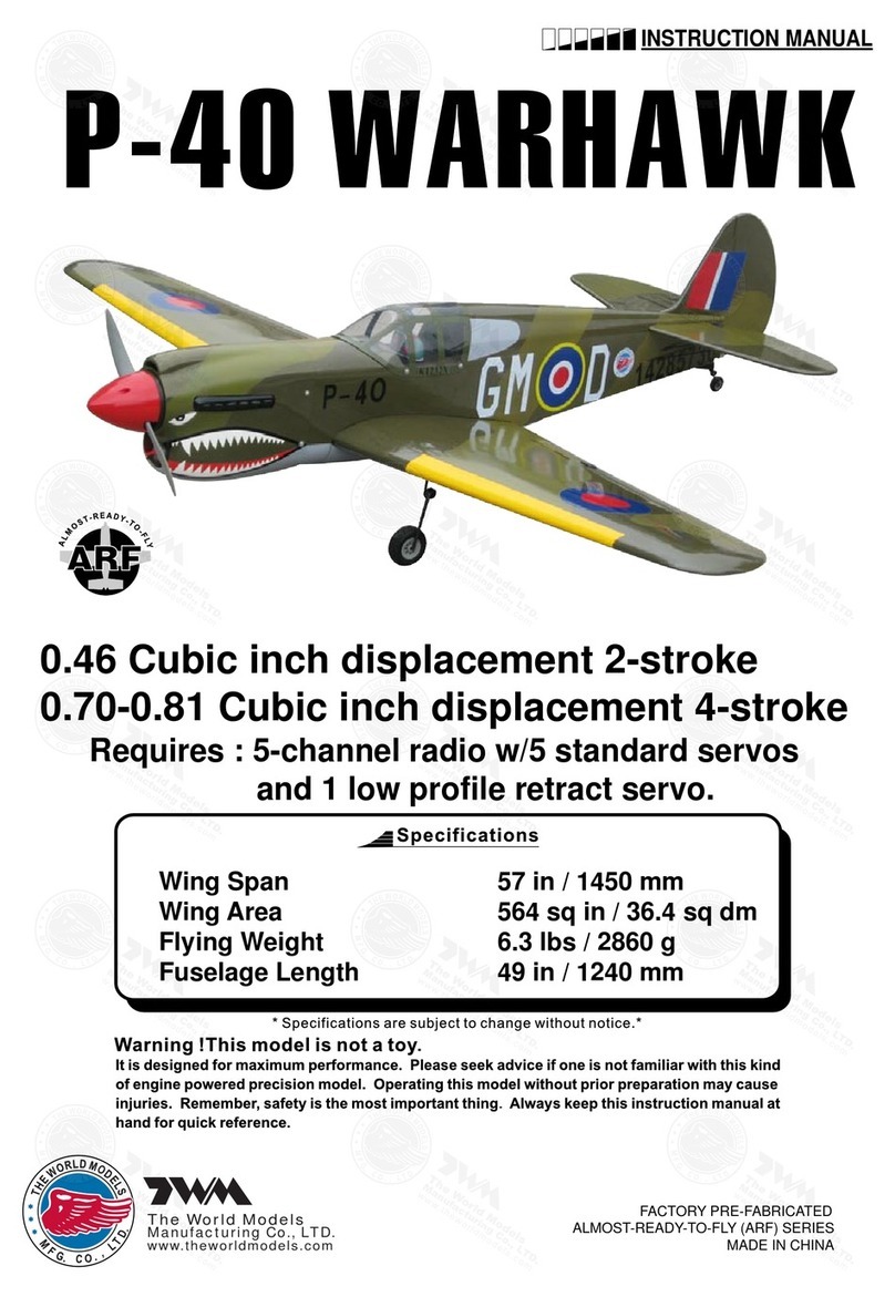 THE WORLD MODELS P-40 Warhawk User manual