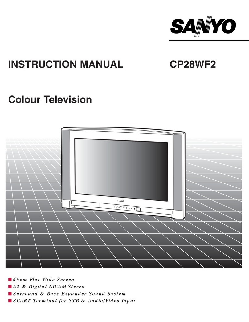 Sanyo CP28WF2 User manual