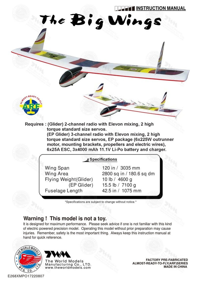 THE WORLD MODELS The Big Wings User manual