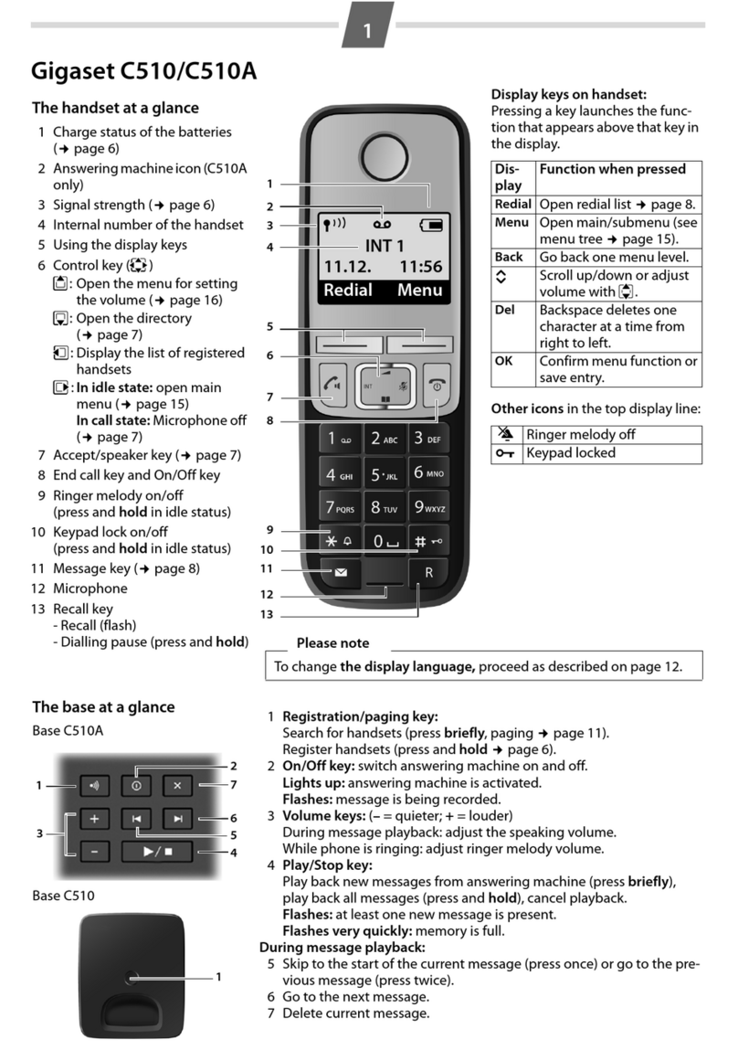 Gigaset C510 User manual