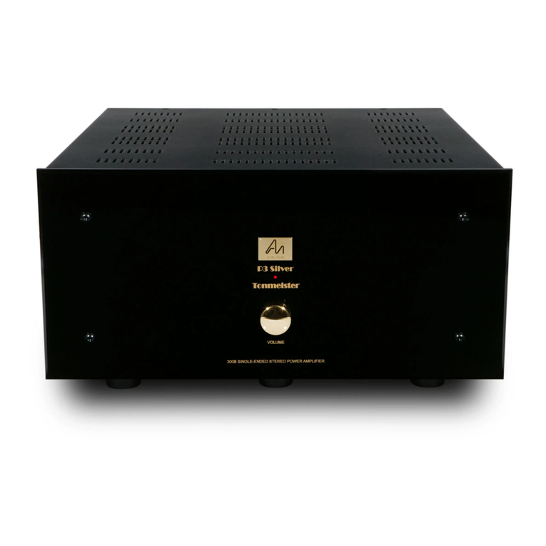 Audio Note P3 Silver Technical manual